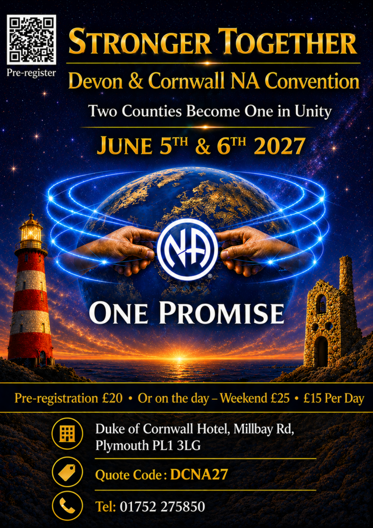 Devon & Cornwall Convention 2027